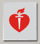 American Heart Association